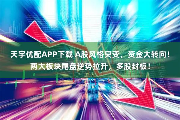 天宇优配APP下载 A股风格突变，资金大转向！两大板块尾盘逆势拉升，多股封板！