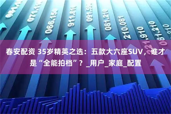 春安配资 35岁精英之选：五款大六座SUV，谁才是“全能拍档”？_用户_家庭_配置