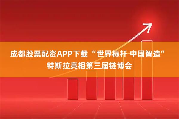 成都股票配资APP下载 “世界标杆 中国智造” 特斯拉亮相第三届链博会
