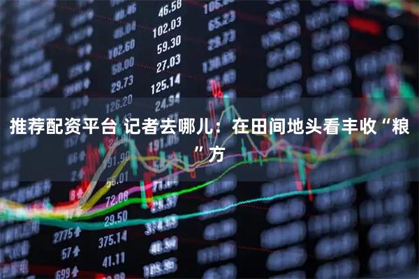 推荐配资平台 记者去哪儿：在田间地头看丰收“粮”方